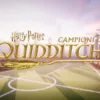 Harry Potter: Campioni di Quidditch