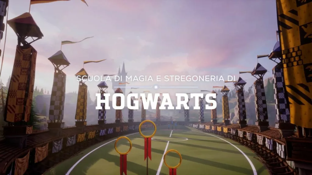 Harry Potter: Campioni di Quidditch