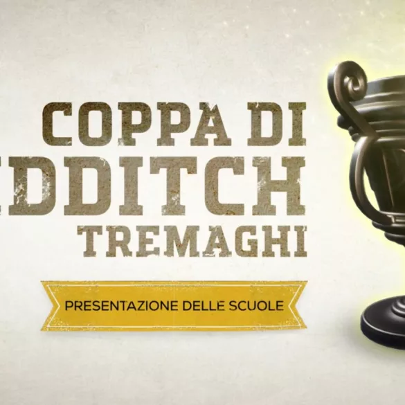 Harry Potter: Campioni di Quidditch