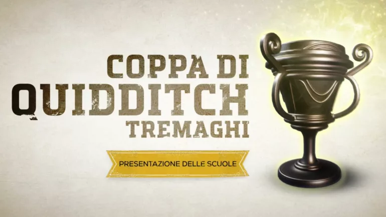 Harry Potter: Campioni di Quidditch